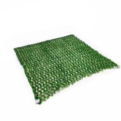https://progarden.hu/media_ws/10018/2044/idx/auto-mow-hybrid-gyepracs.png