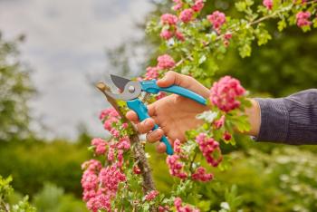 EasyCut metszőolló  kerti olló 2.Kép