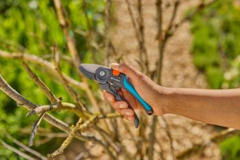 PremiumCut metszőolló  szárazmetszéshez 3.Kép