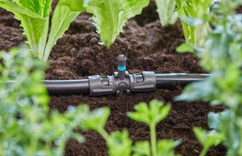 Micro Drip System T-elem permetezőfuvókához 13 mm-es (1/2") 2.Kép