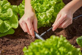 Micro Drip System kötőelem 4,6 mm-es (3/16) 2.Kép