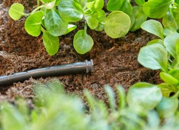 Micro Drip System záródugó 4,6 mm-es (3/16) 2.Kép