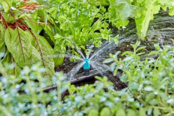 Micro Drip System kisfelület-fúvóka 2.Kép