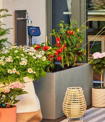 Micro Drip System sorcsepegtető 2.Kép