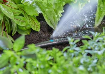 Micro Drip System vég-csíkfúvóka 2.Kép