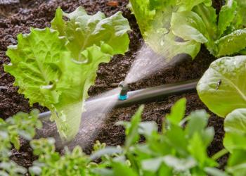 Micro Drip System csíkfúvóka 2.Kép