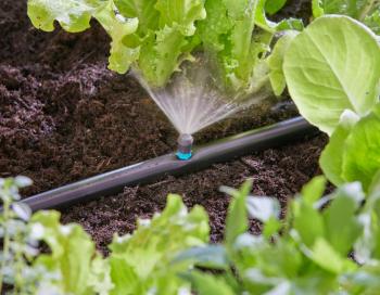 Micro Drip System permetező fúvóka 90 fok 2.Kép