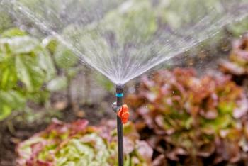 Micro Drip System permetező fúvóka 90 fok 3.Kép