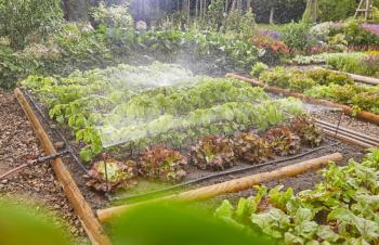 Micro Drip System indulókészlet virág- és növényágyásokhoz 3.Kép