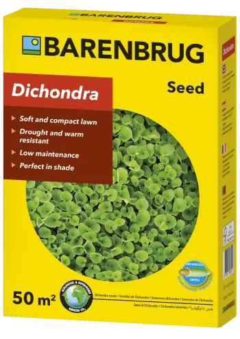 https://progarden.hu/media_ws/10032/2041/idx/barenbrug-dichondra.webp
