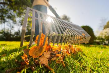 PureLine FSC® 100% lombseprű 4.Kép