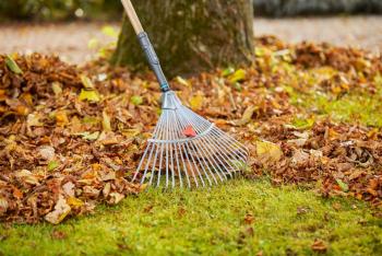 PureLine FSC® 100% állítható fém lombseprű 4.Kép