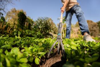 PureLine FSC® 100% talajlazító 4.Kép