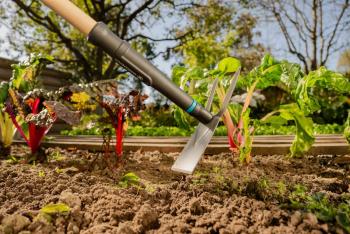 PureLine FSC® 100% villáskapa 4.Kép