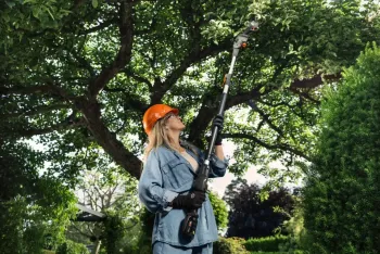 Aspire PS30X-P4A akkumulátoros metszőolló  (akku nélkül, szárral) 5.Kép