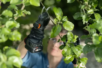 Aspire PS30X-P4A akkumulátoros metszőolló  (akku nélkül, szárral) 8.Kép