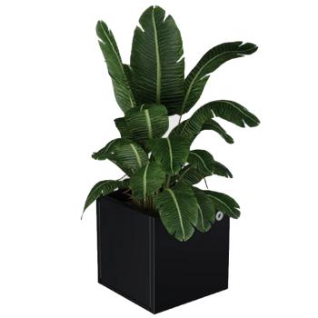 https://progarden.hu/media_ws/10037/2025/idx/nivo-cubo-viraglada-5.jpg