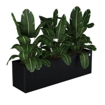 https://progarden.hu/media_ws/10037/2027/idx/nivo-lineo-viraglada.jpg