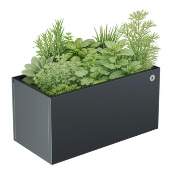 https://progarden.hu/media_ws/10037/2031/idx/nivo-terra-magasagyas.jpg